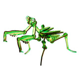 JCR Works Praying Mantis Puzzle