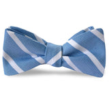 Bird Dog Bay Clooney Bow Tie In Blue/White